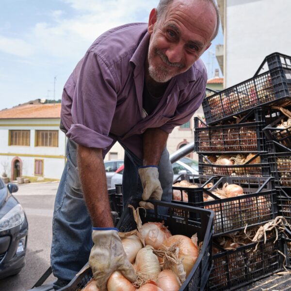 cipolla dorata di banari prodotto dop o sardegna