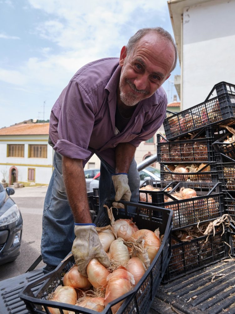 cipolla dorata di banari prodotto dop o sardegna